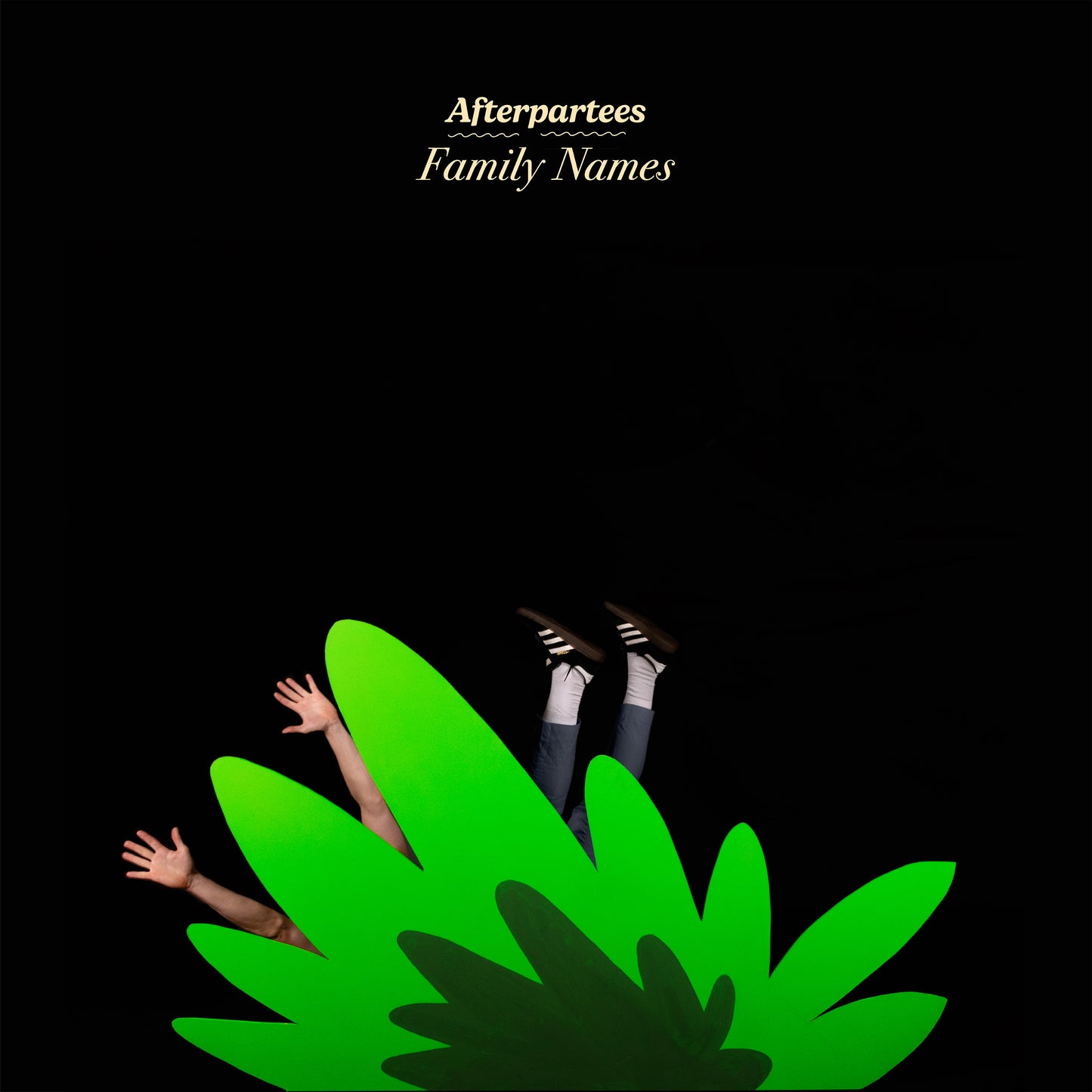 Afterpartees – Family Names
