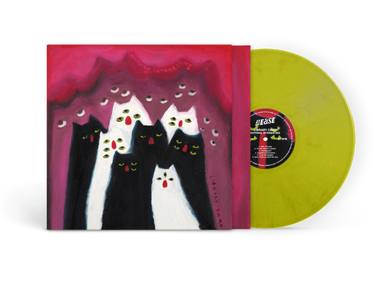 Library Card – Nothing, Interesting